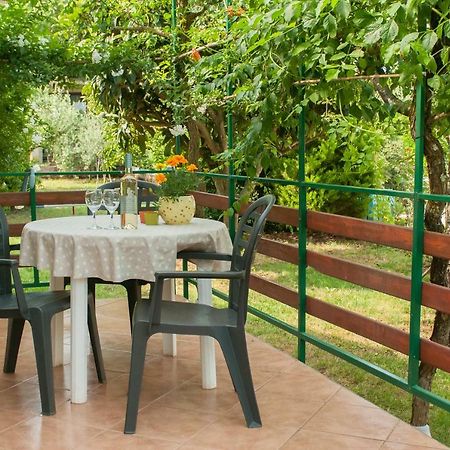 Studio And Apartment Nadia With Garden بوريتش المظهر الخارجي الصورة